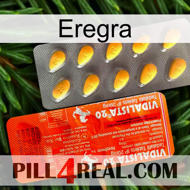 Eregra new01